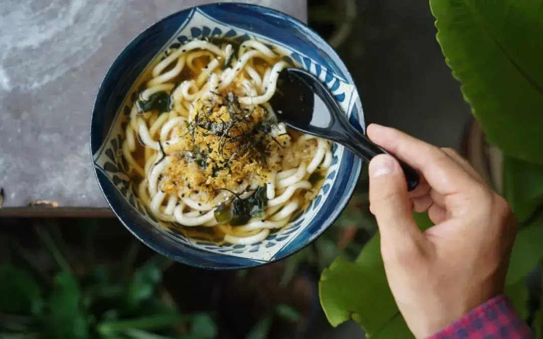 udon-noodles-soup