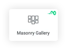 Elementor Masonry Gallery