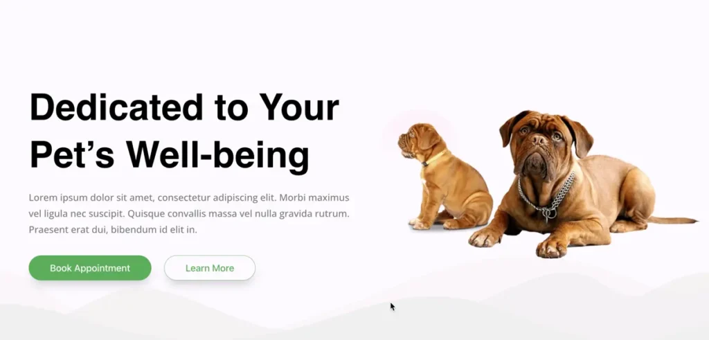 Pet care block website section