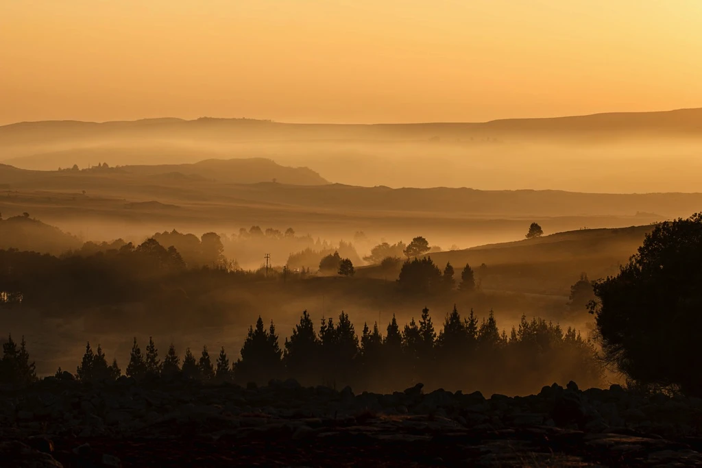 Vast View of Wilderness