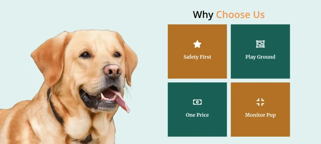 Pet care website prebuilt section
